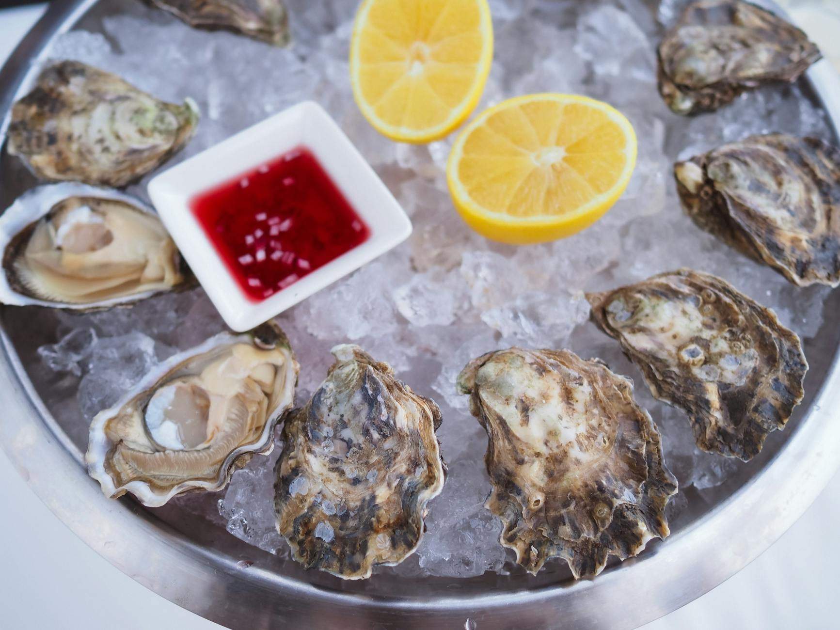 Fresh seafood display reminiscent of Auckland Fish Market's daily catch
